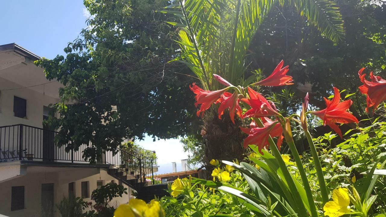 Rooms Lake View Balani Restaurant Shkoder Ngoại thất bức ảnh